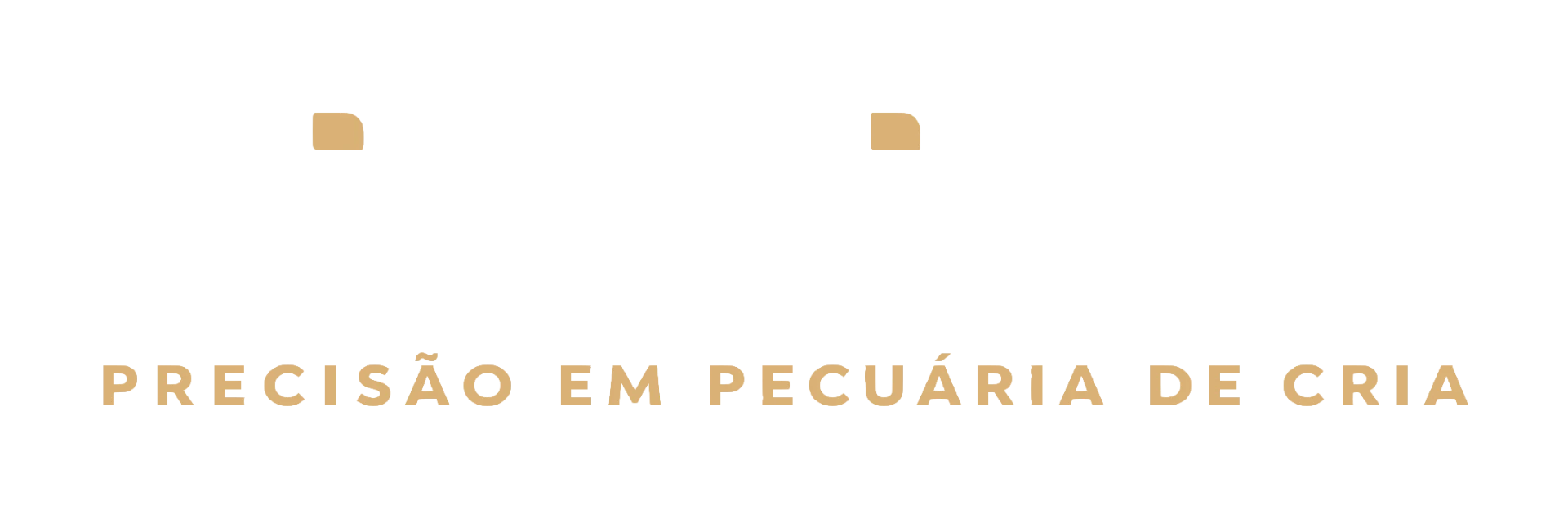 Direcione — Precisão em Pecuária de Corte